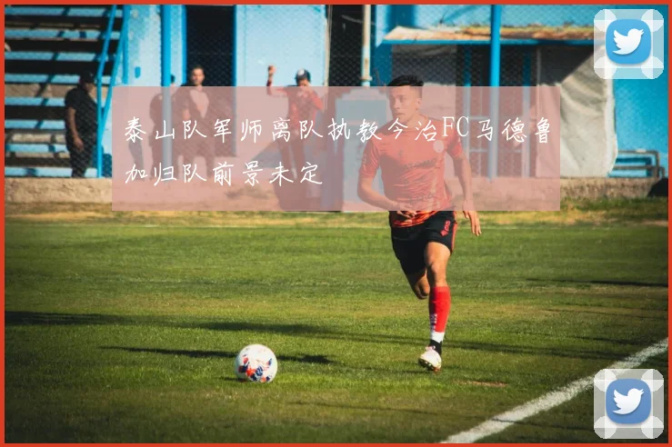 泰山队军师离队执教今治FC马德鲁加归队前景未定