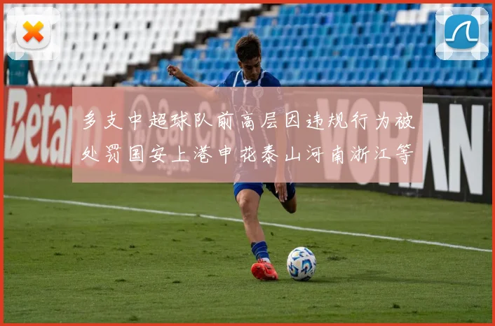 多支中超球队前高层因违规行为被处罚国安上港申花泰山河南浙江等队受影响